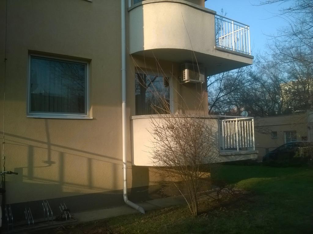 Lara * Debrecen
